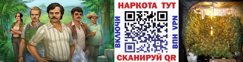 Наркотические вещества Новоуральск Cocaine Псилоцибиновые грибы ГАШ АМФЕТАМИН Канабис blacksprut ТОР Мефедрон