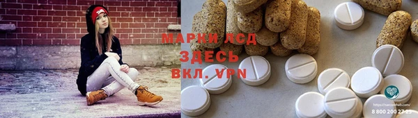 винт Алзамай