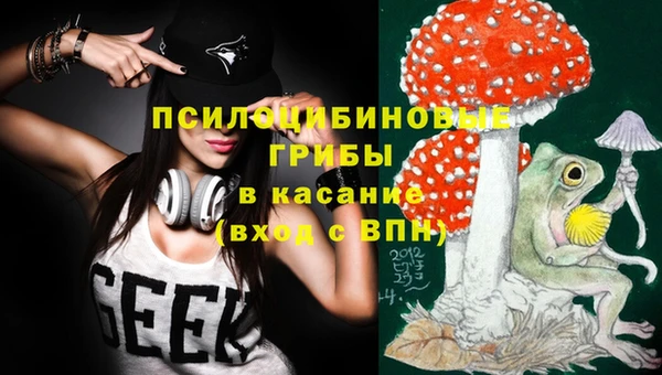 прущие крисы Алексеевка