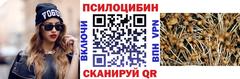 как найти закладки  Новоуральск  kraken рабочий сайт  Псилоцибиновые грибы MAGIC MUSHROOMS 